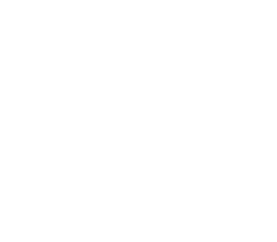 city of carrollton white logo